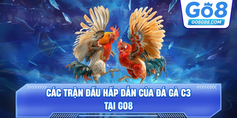 Các trận đấu hấp dẫn của Đá Gà C3 tại Go8