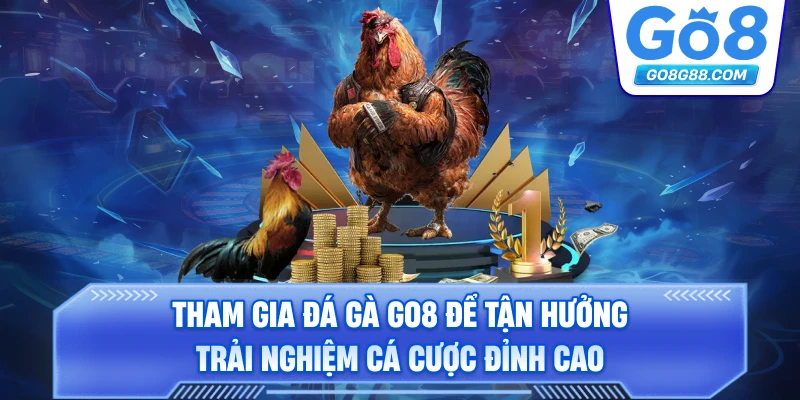 Tham gia Đá Gà Go8 để tận hưởng trải nghiệm cá cược đỉnh cao.